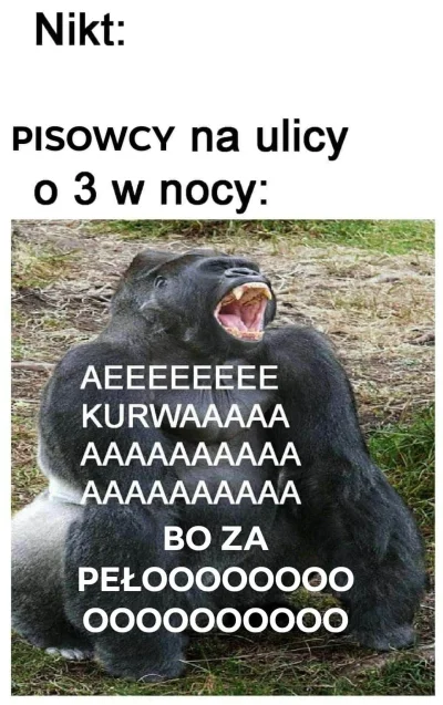 fan_comy - @postrachNocnegoSzczura XDD