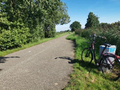 Gorbo2004 - @Matti28 gdybym miał papier to sam bym walnął w krzaki, a tak trzeba 15km...