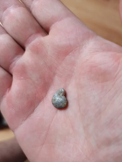 BiBiTheCat - Na dzisiejszych wykopkach znalazłem coś co przypomina mi kawałek srebra....