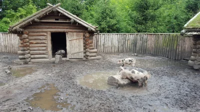 FulTun - Tutaj dokładniejsze ujęcie całości.( ͡° ͜ʖ ͡°)