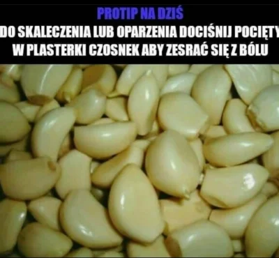 Cinoski - #protip #heheszki