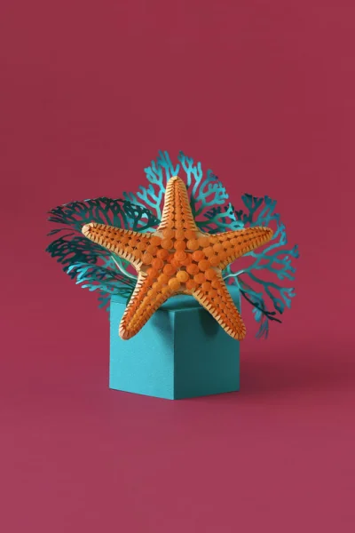 malakropka - Starfish_