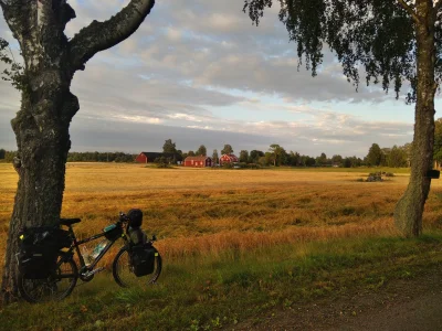 Patrick_Rowerovsky - Dzień czterdziesty dziewiąty. 

Obudziłem się później niż zwykle...