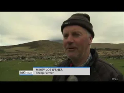 Neto - Dwóch farmerów z hrabstwa Kerry opowiada dziennikarzowi o kradzieży owiec. Roz...