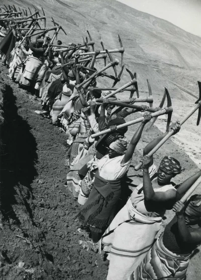 myrmekochoria - Kobiety pracujące nad budową drogi, Lesotho 1969.

#starszezwoje - ...