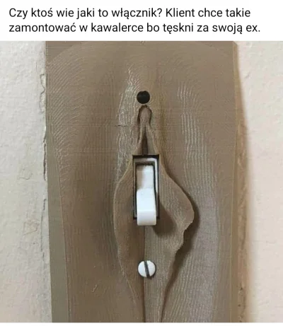 ludol - #humorobrazkowy #heheszki #elektryka