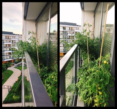 Mirkosoft - Większy balkon
