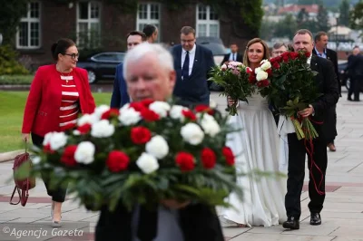 Ag90 - @PIT-9 Dokładnie, wesele Kurskiego minęło, to teraz można zwalać winę na wesel...