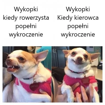 reddin - > a czy to nasz problem? jak nie ma predyspozycji fizycznych do poruszania s...