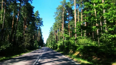 mateusz-zahorski - Kilka km jazdy w takim krajobrazie. :)