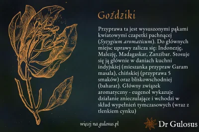 Gulosus - Goździki - tak ważny składnik piernika, tarty z jabłkami, chińskiej przypra...