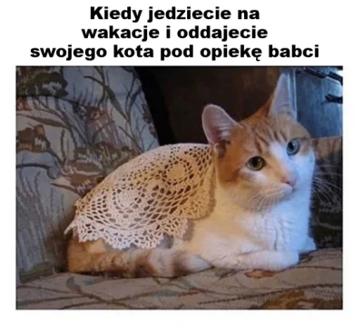 Niemaszracj_idioto - #humorobrazkowy #smiesznekotki #koty