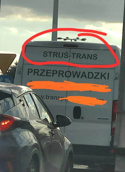 Anka-55500 - Struś transport do Choroszczy 
#kononowicz #patostreamy