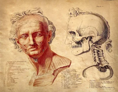 myrmekochoria - Jean-Galbert Salvage (1770-1813). Kilka jego prac. Był medykiem polow...