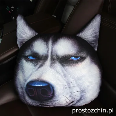 Prostozchin - @gumpa_bobi: Jest jeszcze poduszka pies husky

SPOILER