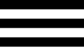 Szumowinka - Tu można chyba kupić własną flagę i możesz tam podać własny wzór. https:...