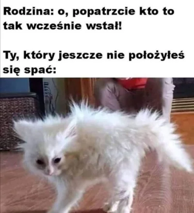 wysokocenionyspecjalistawbranzyit - #dziendobry