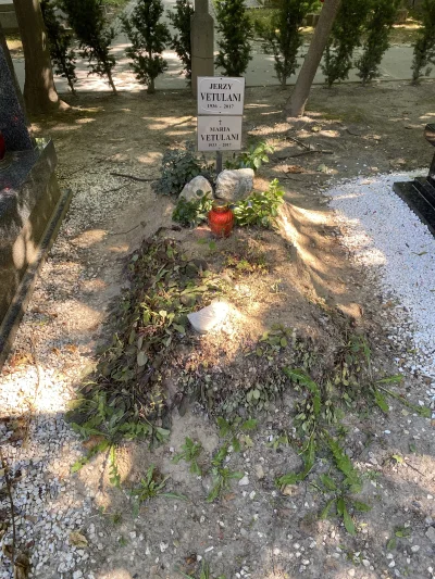 januszpapa667 - Czy ktoś z #krakow wie dlaczego grób prof. Vetulaniego wyglada jak wy...
