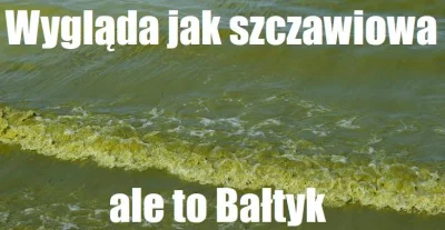 M.....1 - #wakacje
#baltyk
#podroze
#podrozujzwykopem