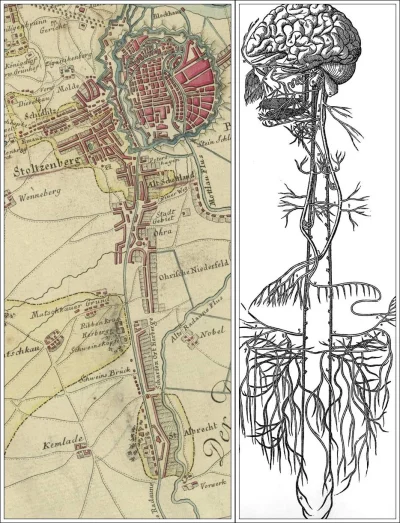 PrzewodniG - Po lewej stronie fragment mapy Gdańska i okolic z 1783 r. autorstwa berl...