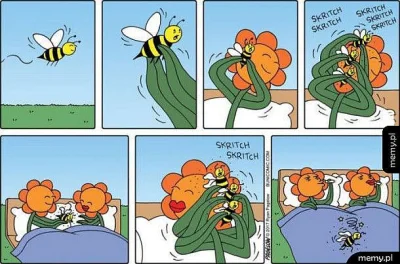 bbuukkeemm - Za pszczoły szacunek... zawsze...