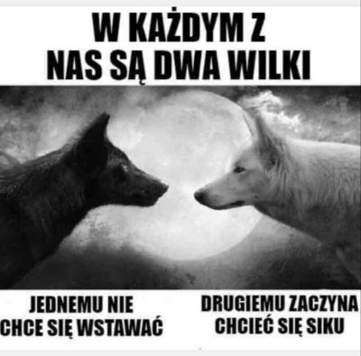 tomidaj_ - Nie lubię tego białego wilka ( ͡° ʖ̯ ͡°)
#heheszki