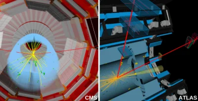 Fake_R - Rozpad Bozonu Higgsa na dwa miony; w detektorach ATLAS i CMS w LHC otrzymano...