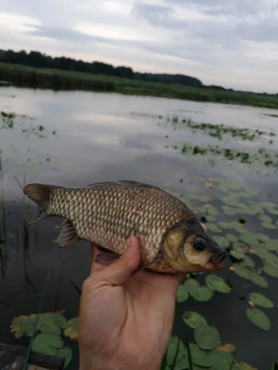 Pa4yk - Jest pierwszą większą ryba :D