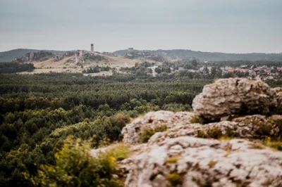 dkornas - Widok na zamek w Olsztynie z Góry Towarnej Małej. Góry Towarne to jedno z c...