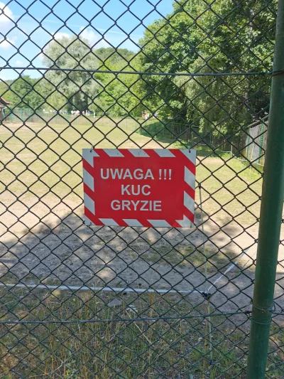 eMaciek - #kuc #kucgryzie