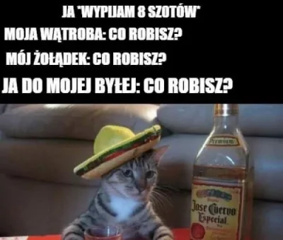 Sysiek_ - #heheszki #humorobrazkowy