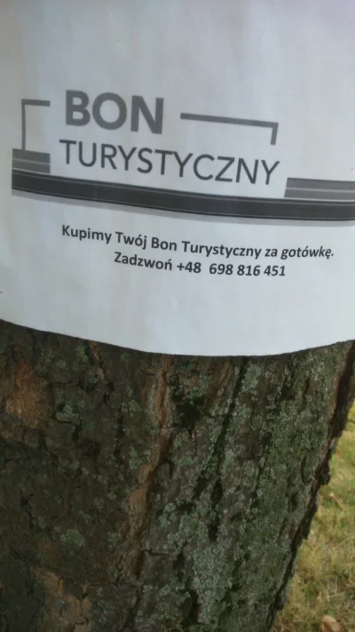 wrth - Z wczoraj, Kraków