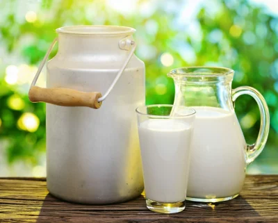 MLeko29 - Cycki dostają masę plusów, a czy zwykłe mleko może plusa?

#mlekoboners