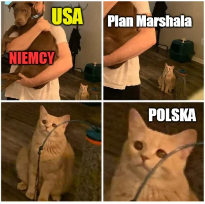 Mescuda - #niemcy #polska #humorobrazkowy