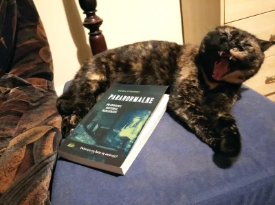 Cedrik - Chamskie szczucie kotem w calach promocyjnych! ( ͡° ͜ʖ ͡°)

Moją książkę m...