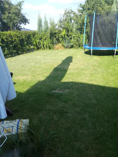 WielkiWladcaWypoku - Ch**owy mam ten cień na podwórku ( ͡° ʖ̯ ͡°)
#humorobrazkowy #hu...