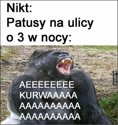 byferdo - Dzisiaj zdecydowanie szybciej (╯°□°）╯︵ ┻━┻ #zalesie #krakow