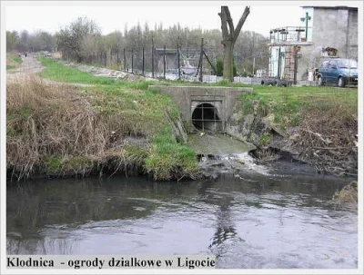 Nwojtek - @greedy_critic no właśnie że nie świeże, ta rzeka to jeden wielki ściek, ni...
