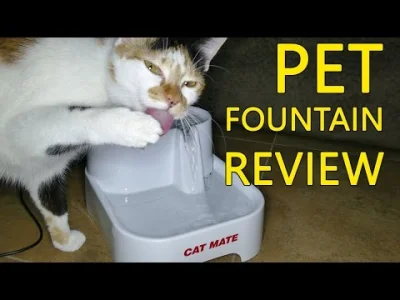 starnak - Cat Mate Pet Drinking Fountain | Why it's GOOD for your cat!