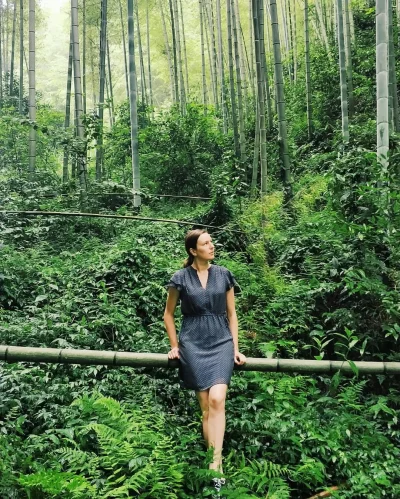 nomadbynature - W lesie bambusowym w Chinach, Guangxi. Rosną tam dziko krzewy herbaty...