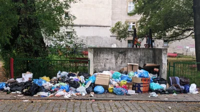 Papilon - U zbiegu Pszennej i Jęczmiennej we Wrocławiu wyrosło śmietnisko.
Cała afer...