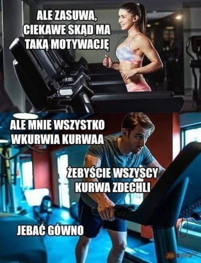 Mjau - #motywacja #bieganie #siłownia #heheszki