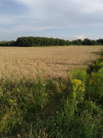 Tlenowodorek_polaka - Dzisiaj kolejny dzień i kolejne dwa punktu. Pierwszy doprowadzi...