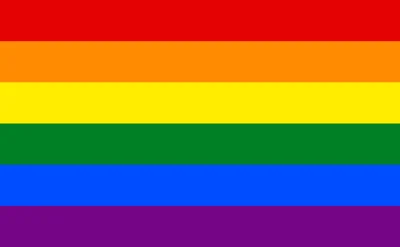 dwapalcewnatalce - Tęczowa flaga LGBT symbolizuje, że homoseksualizm powinien być jak...