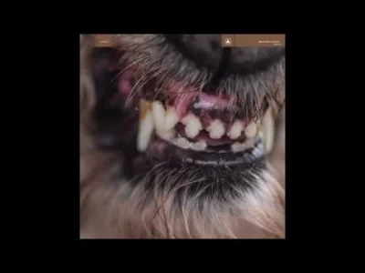 S.....a - Blanck Mass - Rhesus Negative

#industrial #muzykaeksperymentalna #muzyka...