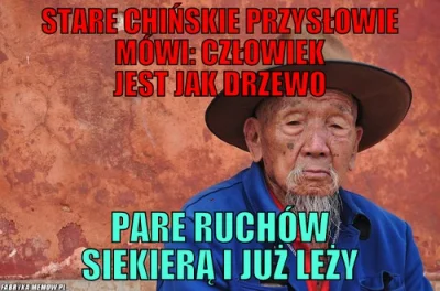 januszzczarnolasu - > Co czuje roślina? Ma tyle zmysłów, co człowiek. Czasem nawet ba...