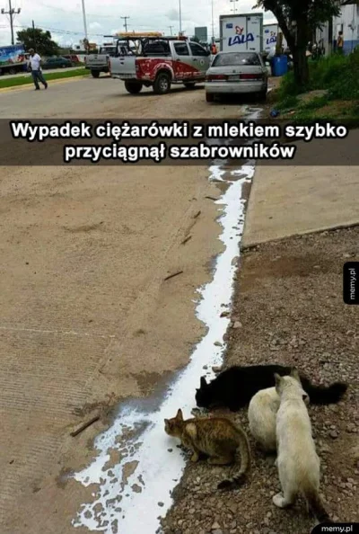 januszzczarnolasu - @RETROWIRUS: Tylko kotów zabrakło ( ͡° ͜ʖ ͡°)