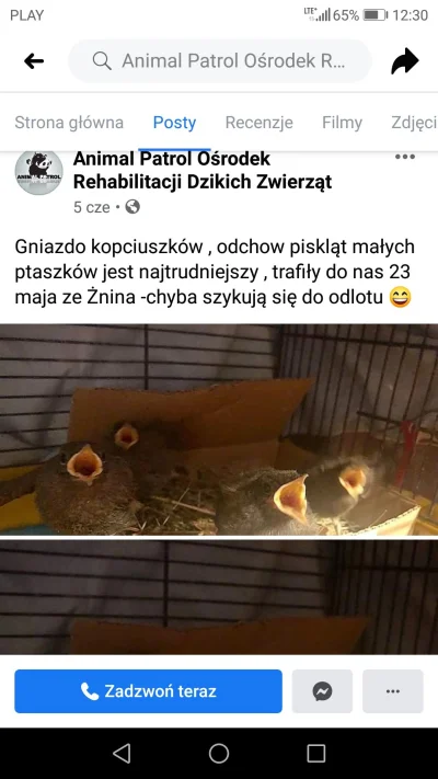 Berkas - Takie wypadły z gniazda, które miały w łódce mojego taty. Specjalny weteryna...