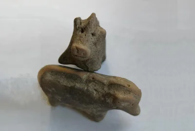 Zwiadowca_Historii - Gliniane figurki świnek sprzed 3,5 tys. lat odkryte w ufortyfiko...