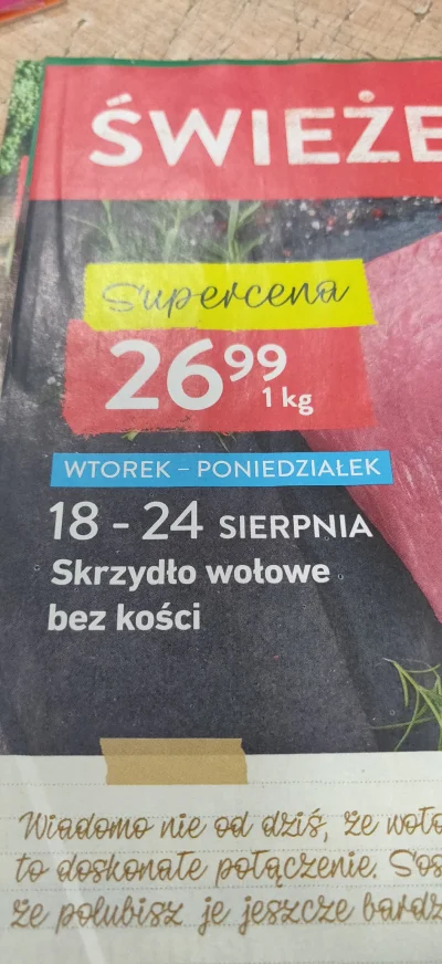 j3acek - gdzie wół ma skrzydła?